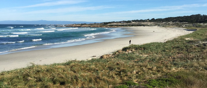 We cover California from the beach...